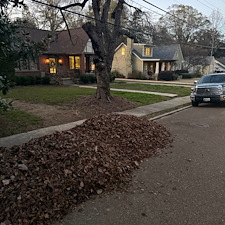 Essential-Leaf-Cleanup-in-Oxford-MS 0